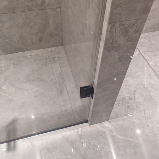 Cercos simples do chuveiro da sala da porta moderna do chuveiro do pivô do preto de Matt